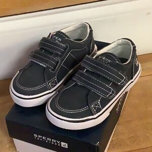 Halyard H&L Navy CVS